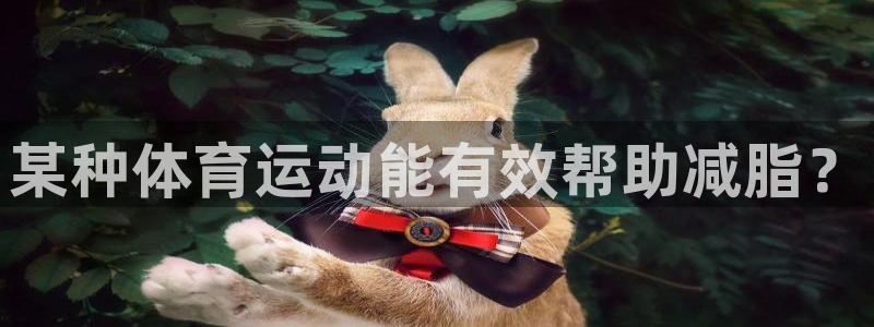 bsport体育最新版入口