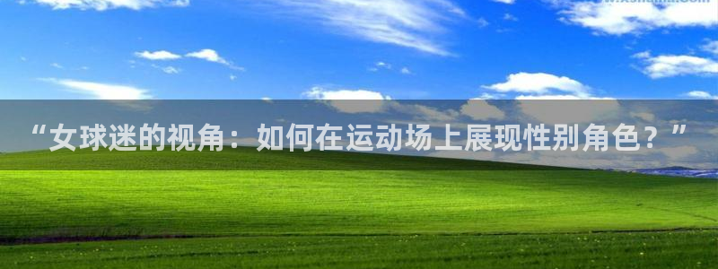Bsport体育网页版链接