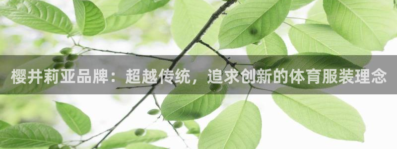 Bsport体育最新版官方入口