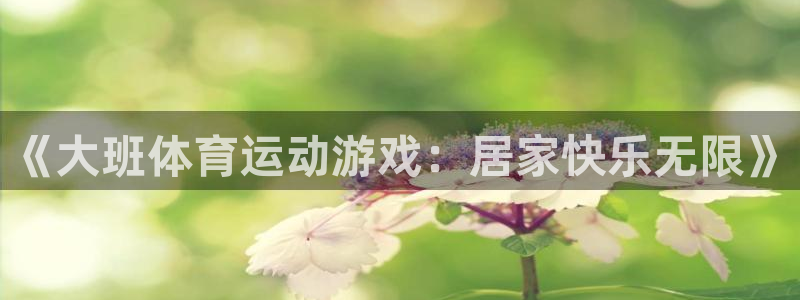 bsport体育官网下载：《大班体育运动游戏：居家快乐无限》