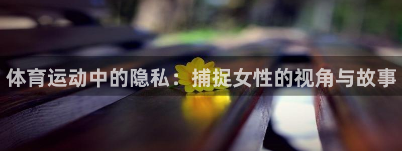 关键词