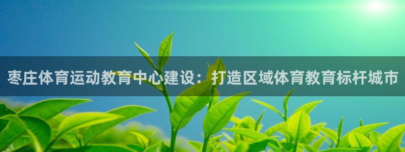 bsport体育平台：枣庄体育运动教育中心建设：打造区域体育教育标杆城市