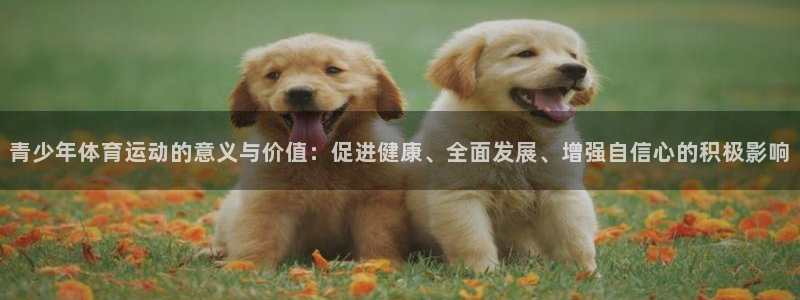 Bsport体育彩票平台：青少年体育运动的意义与价值：促进健康、全面发展、增强自信心的积极影响