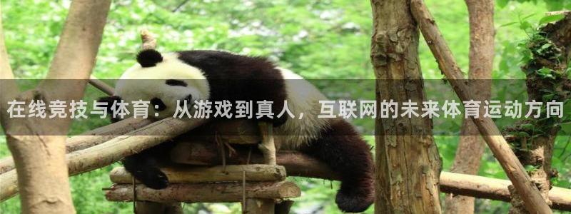 必一运动bsport体育